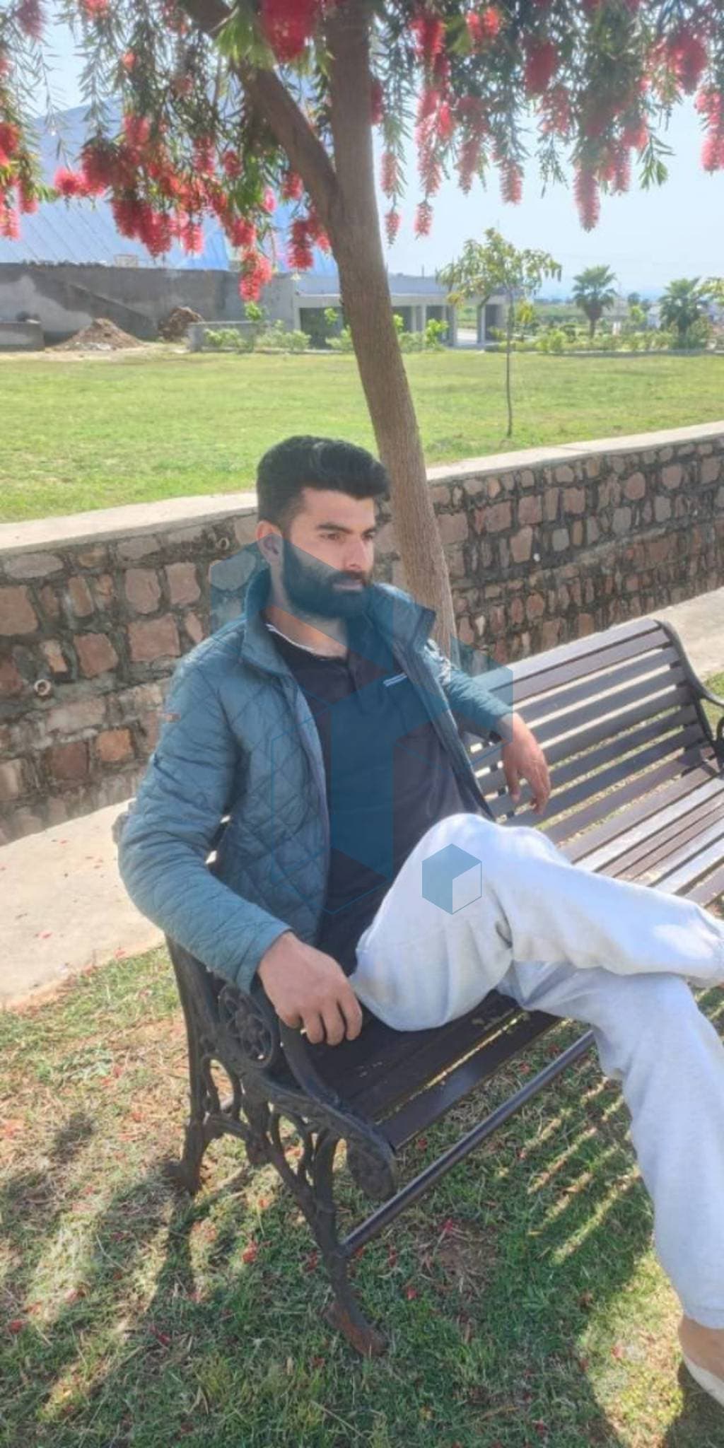 Ali