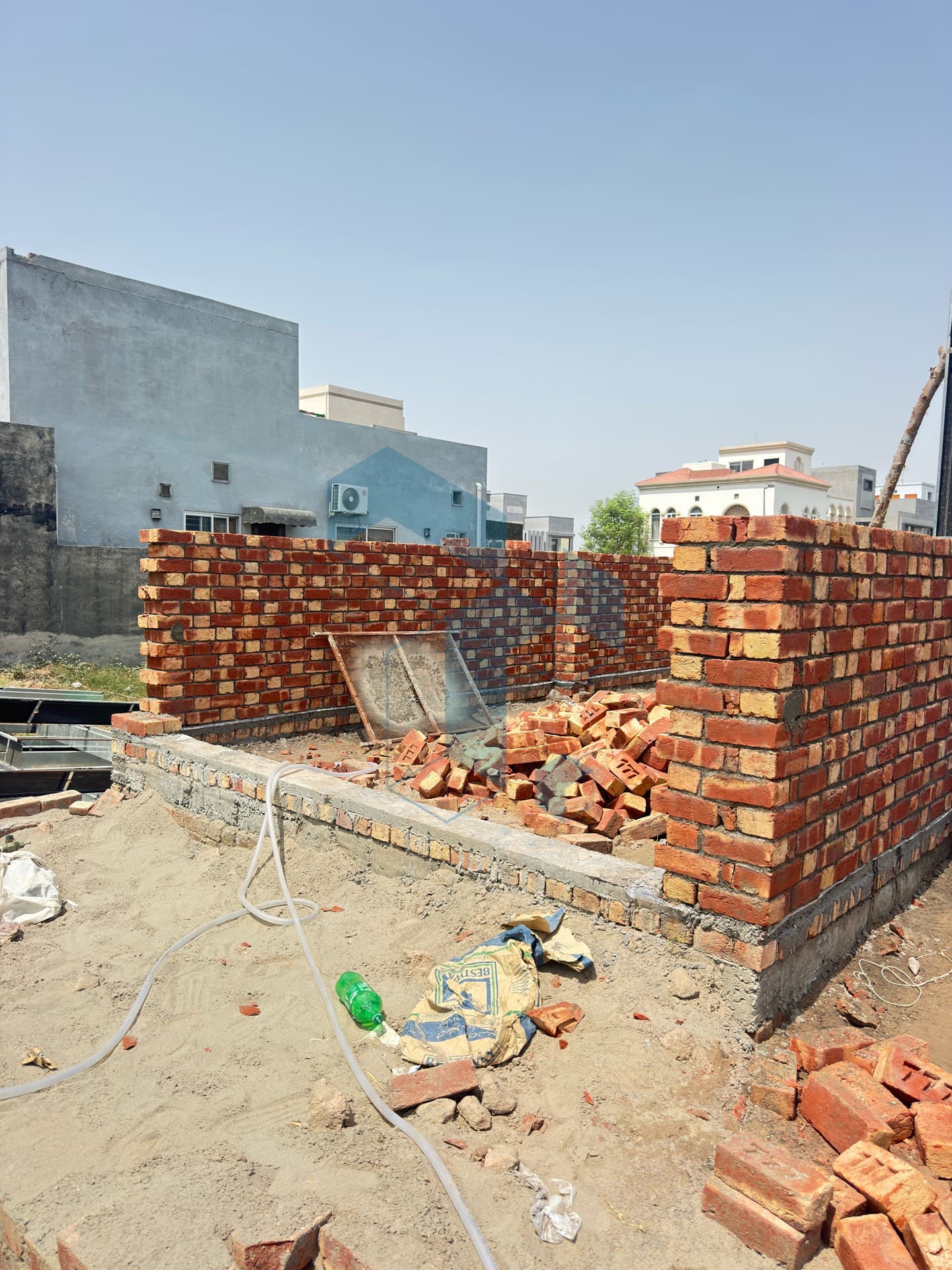 851 b black BAHRIA orchard